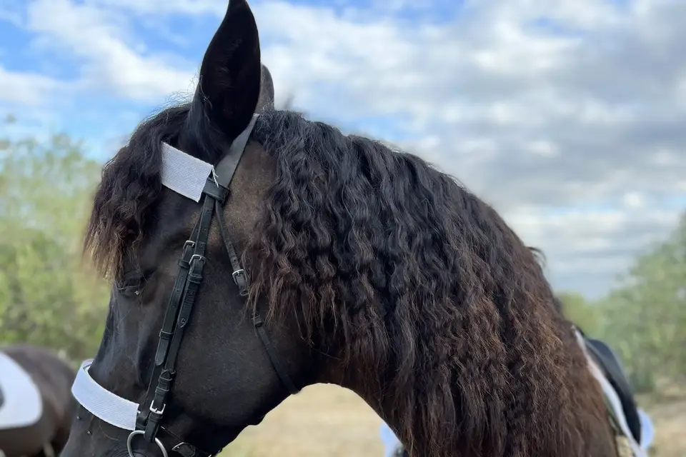 L'Orge Sucrée — photo 7