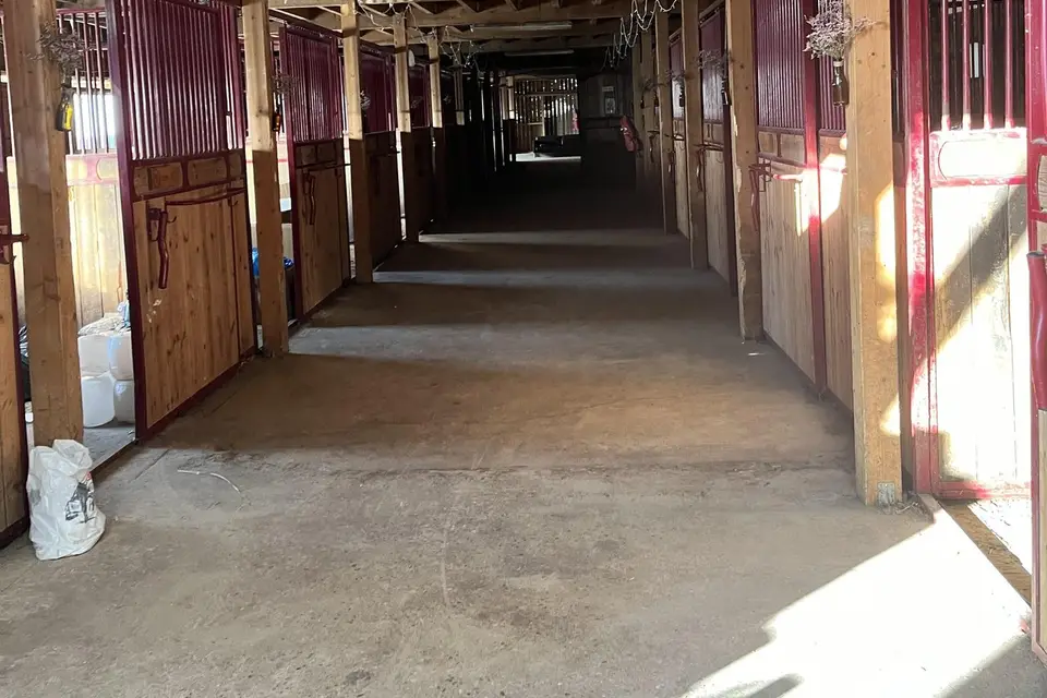 L'Orge Sucrée — photo 3