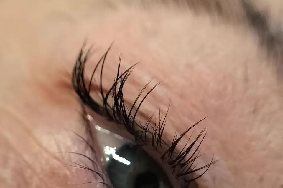 Beautés Nomades — photo 6