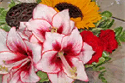 A Fleur de Pot — photo 7