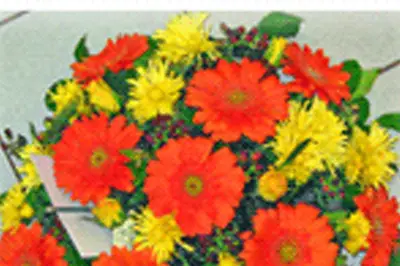 A Fleur de Pot — photo 4