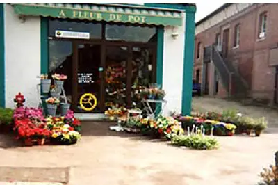 A Fleur de Pot — photo 5