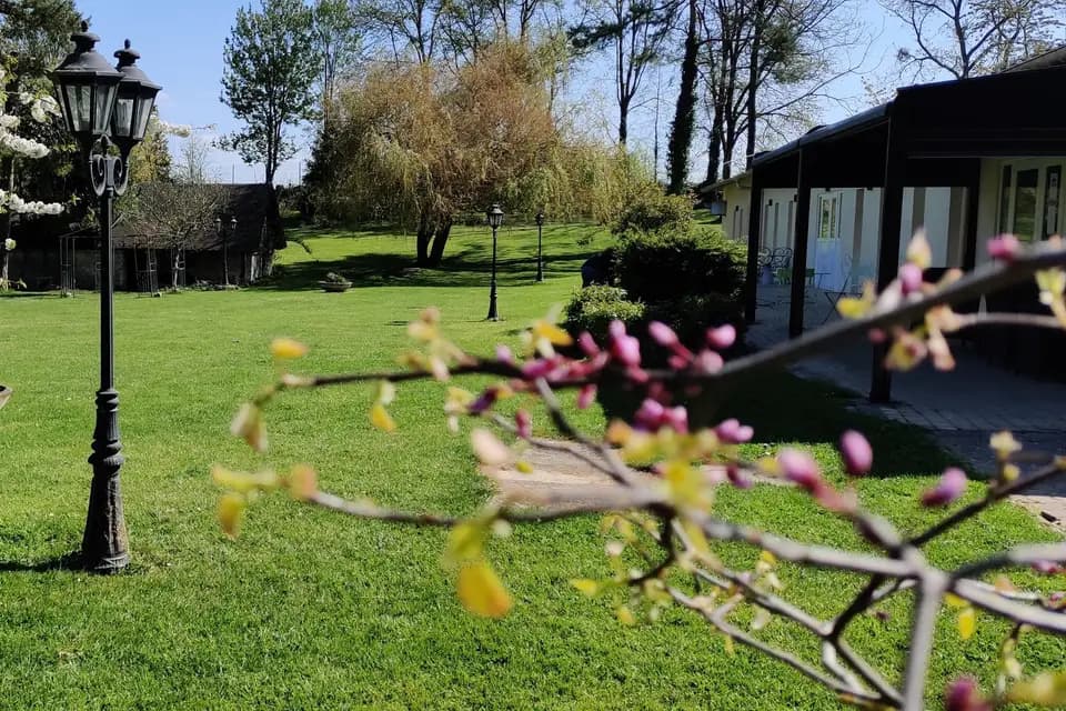 Le Translon — photo 8