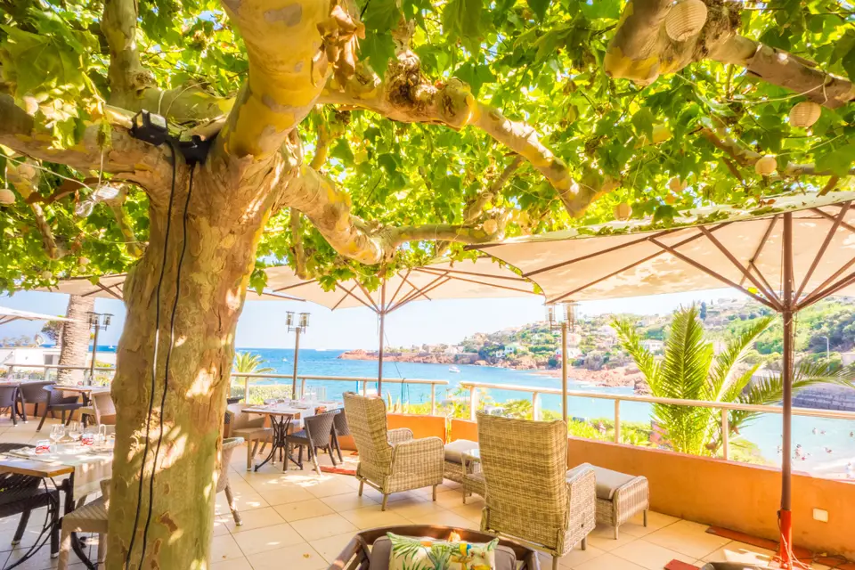 Les Flots Bleus — photo 3