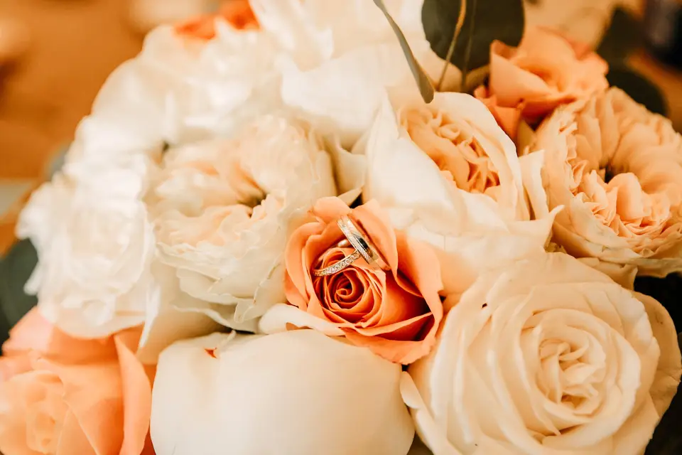 Coton & Cacao — photo 6