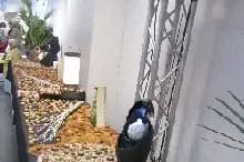 Votre Traiteur — photo 7