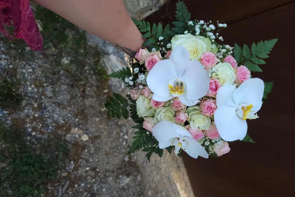 50 nuances de fleurs — photo 3