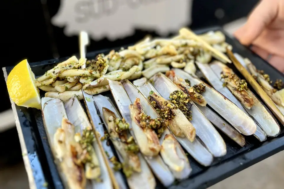 Expérience Sud-Ouest — photo 6