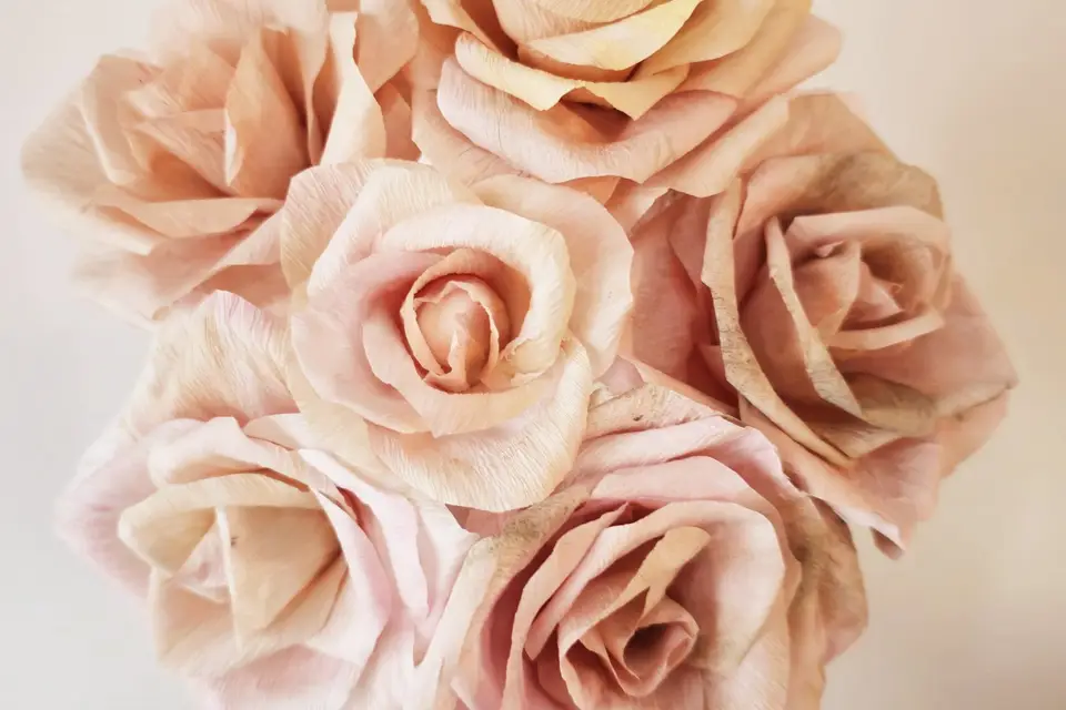 Nessygan — photo 1