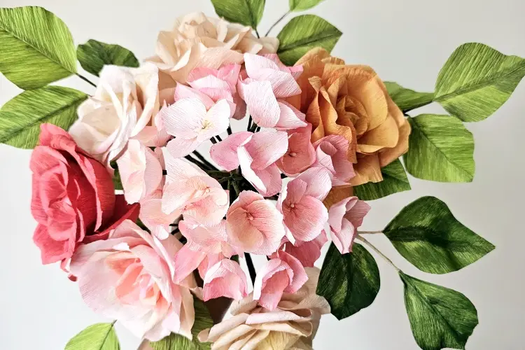 Nessygan — photo 3