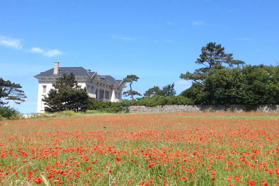 Château de la Crête — photo 8