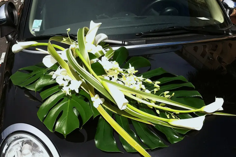 Alice Flowers — photo 4