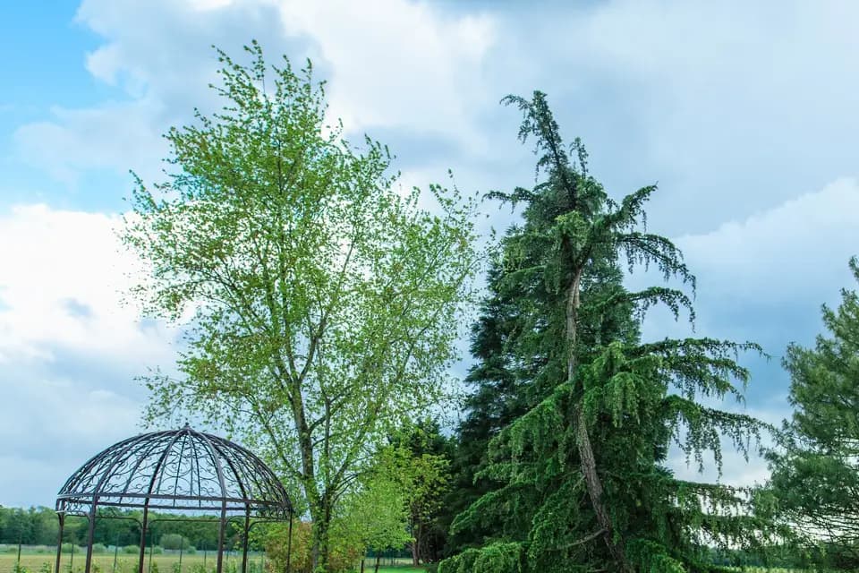 Domaine de Bailly — photo 5