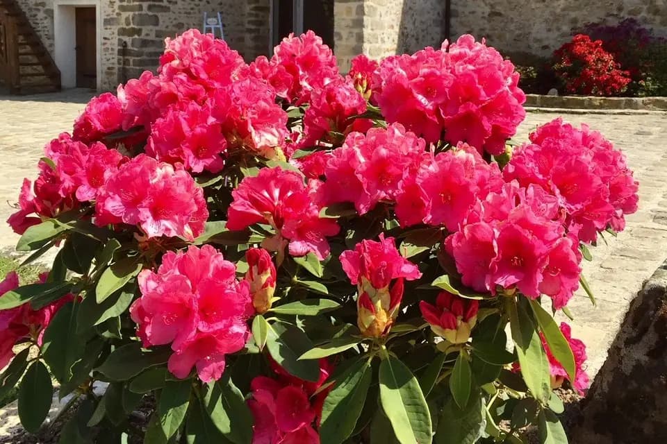 Domaine de Bailly — photo 6