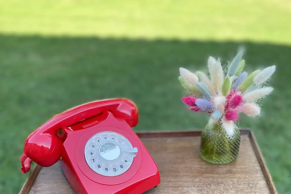 Allo les Mariés — photo 5