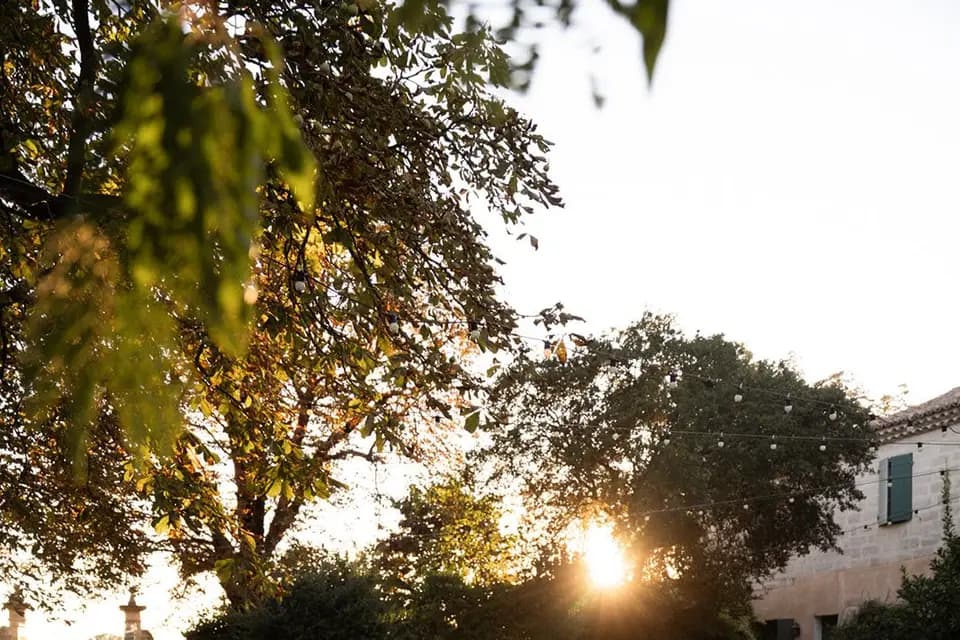 Domaine Arbaud — photo 7