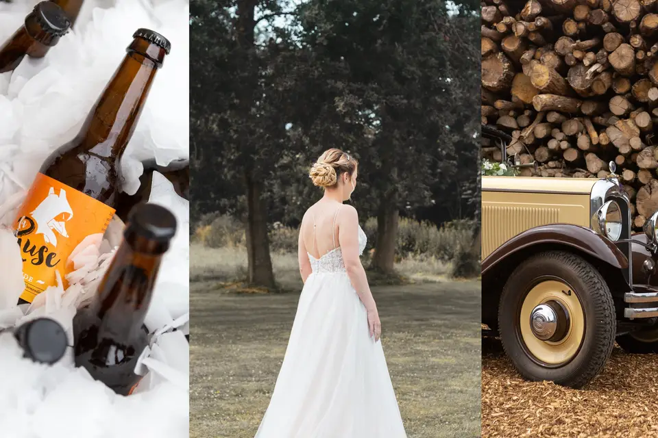 Moa_Visual — photo 8