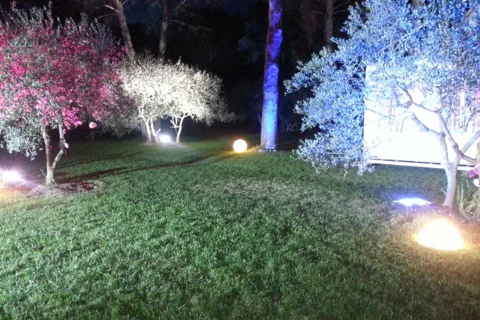 DJ Pascal — photo 8