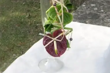 Chantal Brigand — photo 5