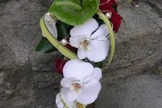 Chantal Brigand — photo 6