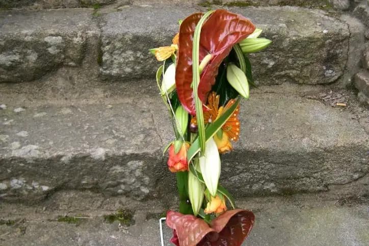 Chantal Brigand — photo 7