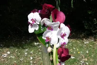 Chantal Brigand — photo 8