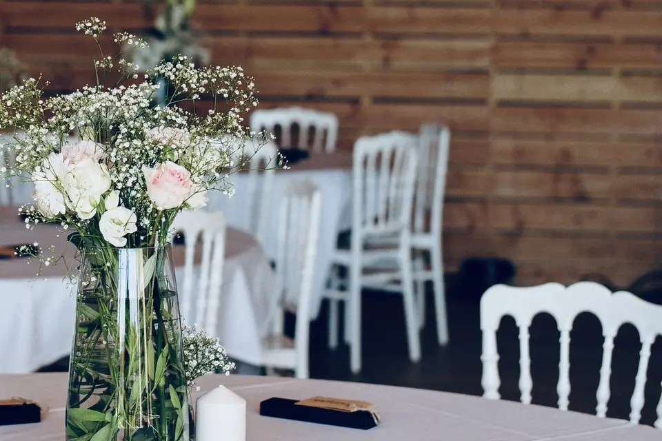 Stylos Déclinaisons — photo 1