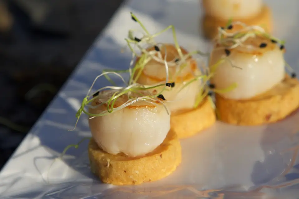 Cul de Poule — photo 6