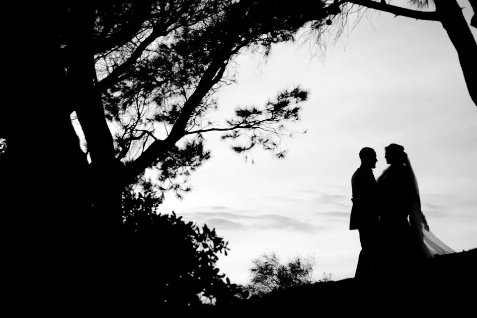 Frank Art Studio — photo 2