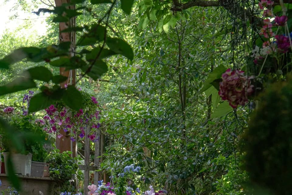 Restaurant La Ferme — photo 2