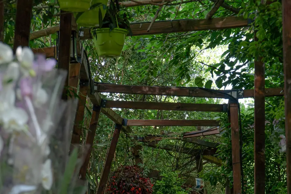 Restaurant La Ferme — photo 4