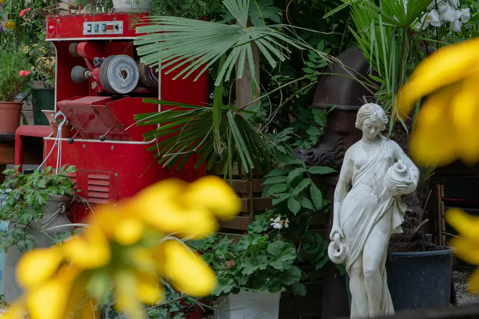 Restaurant La Ferme — photo 5