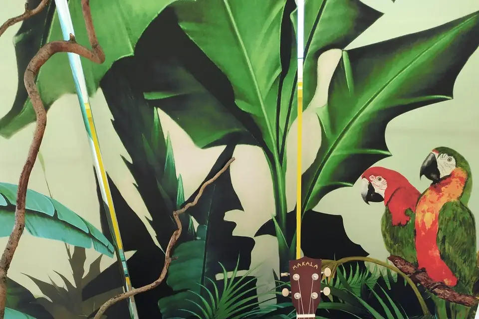 Achacha La Musique — photo 2