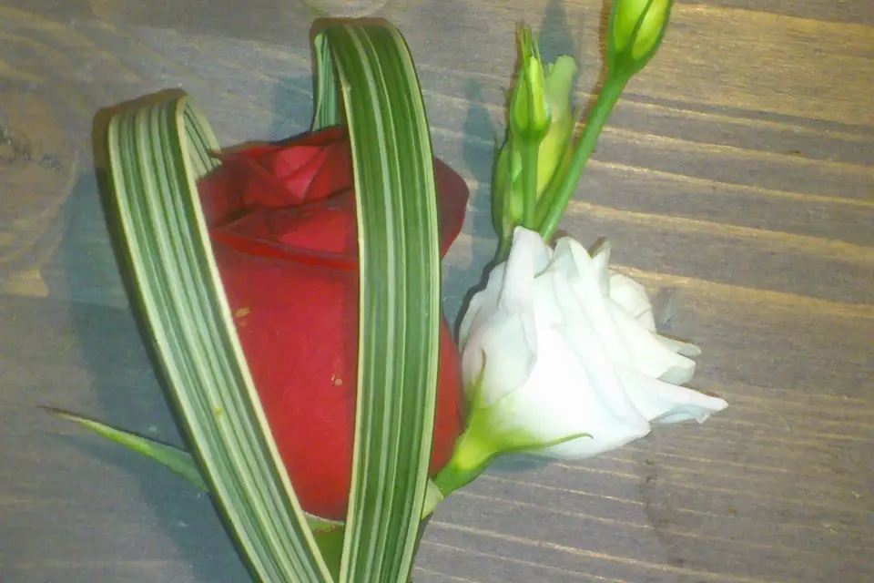 Dit la Fleur — photo 6