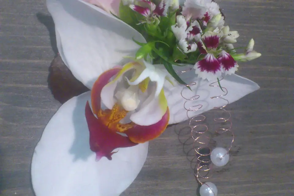 Dit la Fleur — photo 7