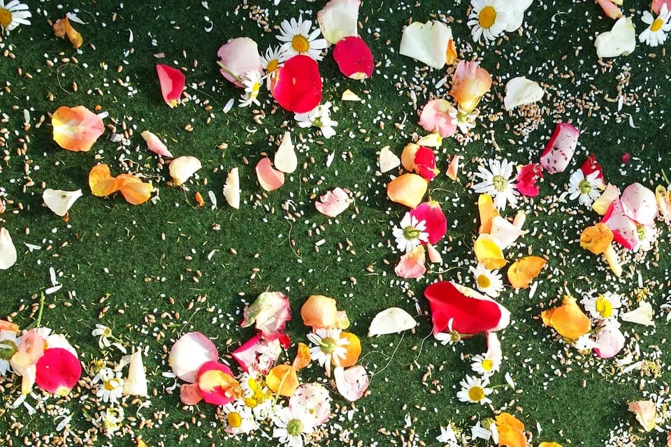 Grandovec Olivier Photo — photo 5