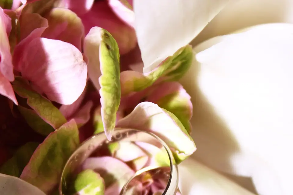 Grandovec Olivier Photo — photo 2