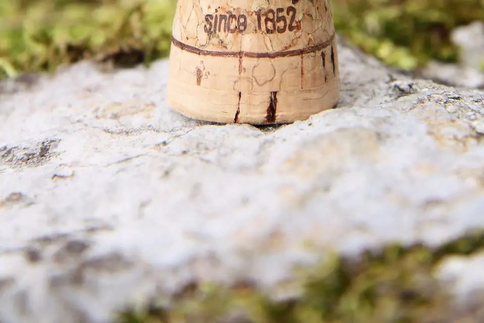 Grandovec Olivier Photo — photo 7