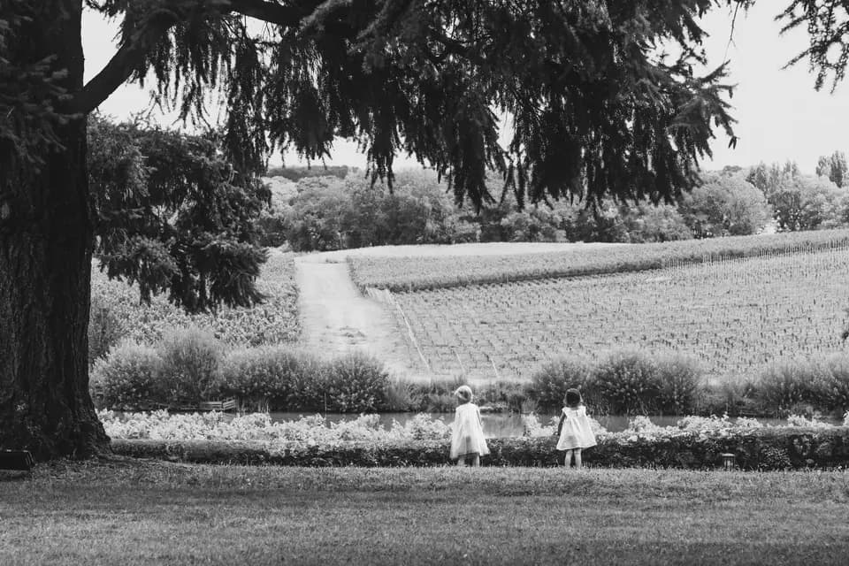 Thierry Dupuy Drone & Photographie — photo 7