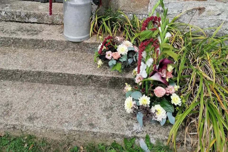 L'Amaryllis — photo 7