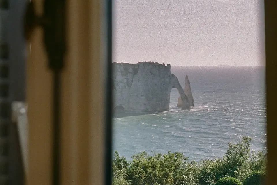 Moviedja — photo 5