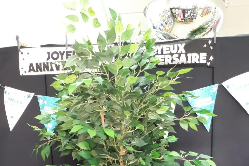 Ma Deco Réception — photo 8