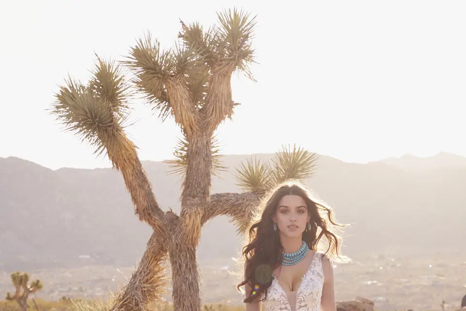 Les Mariées d'Avignon — photo 6