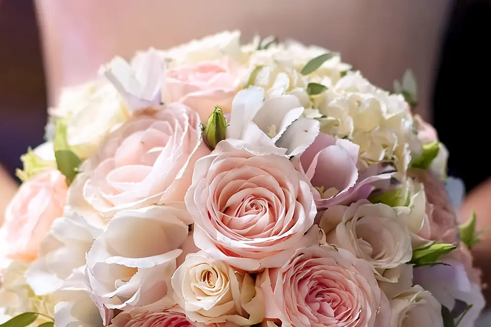 Cybèle Ephémère — photo 1