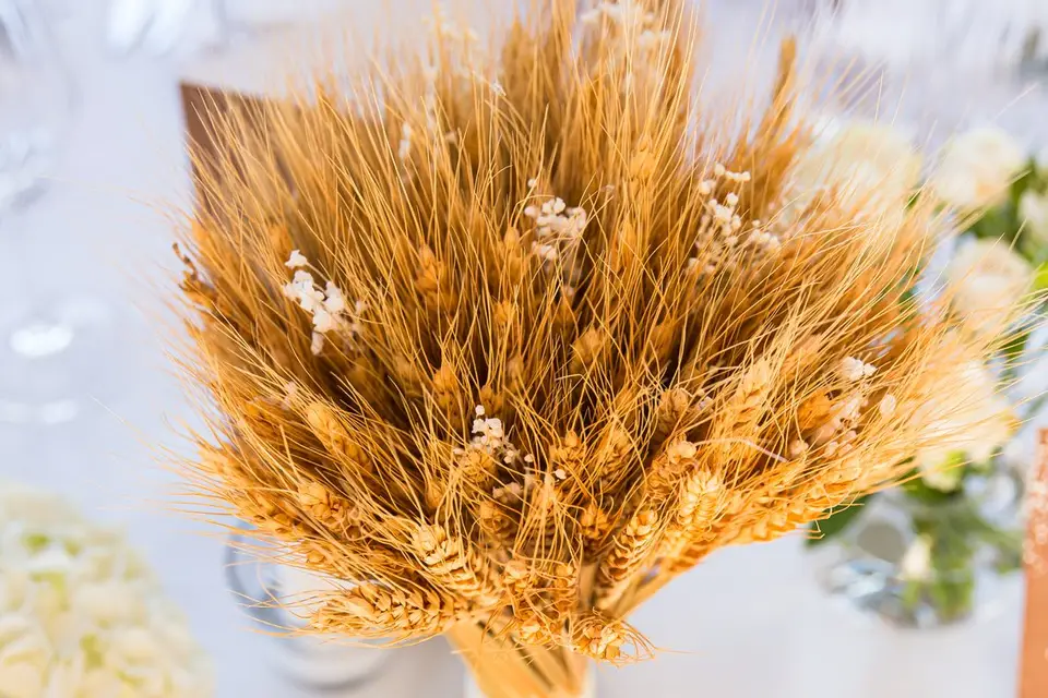 Château de Franqueville — photo 3