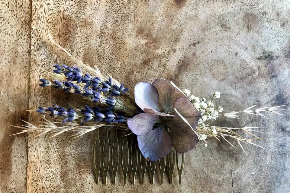 Suzanne Aux Yeux Bleus