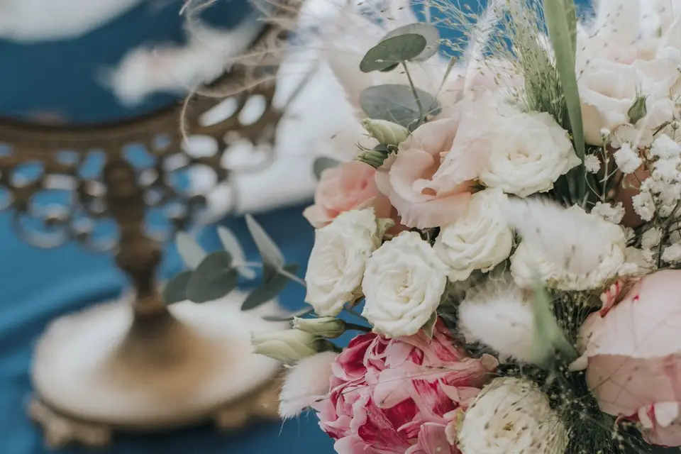 Voulez-Vous Clicher Avec Moi — photo 2