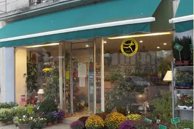 Fleurs Gacéennes — photo 5