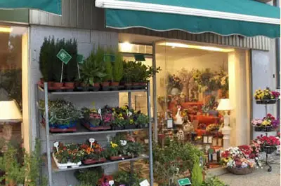 Fleurs Gacéennes — photo 6