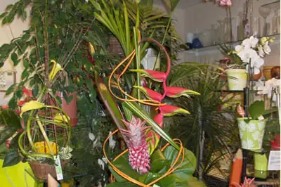 Fleurs Gacéennes — photo 7